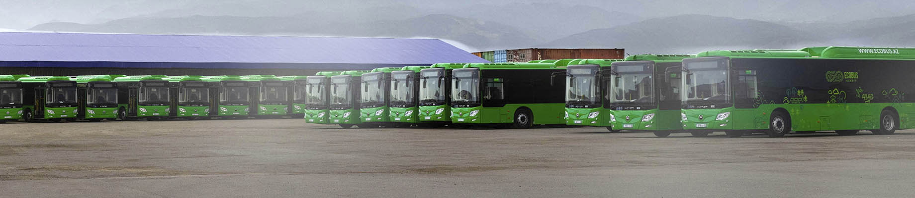 Ecobus