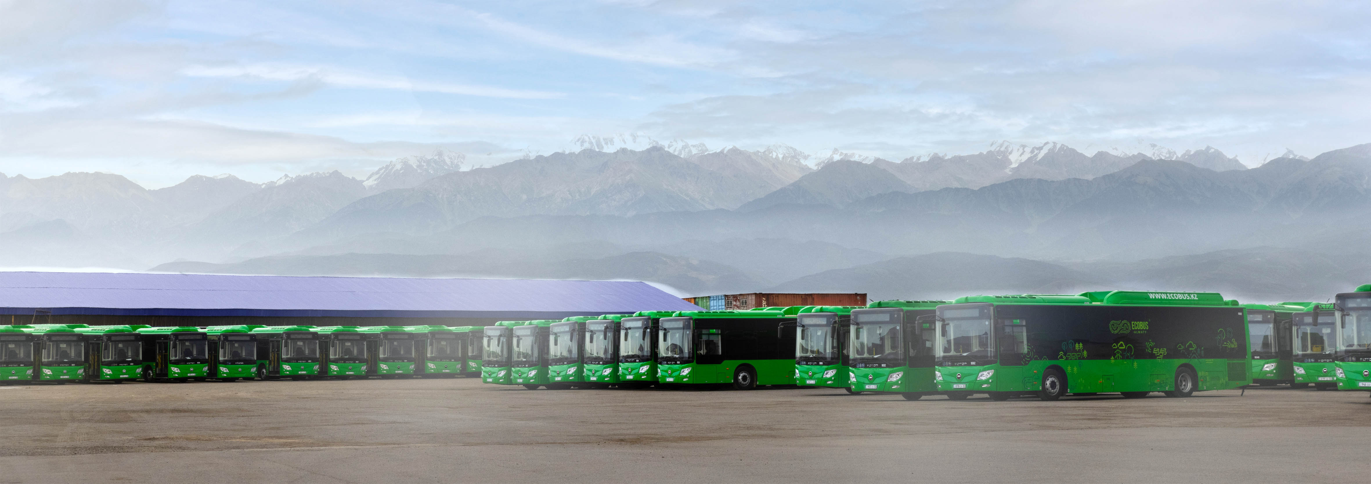 EcoBus — брендинг и дизайн автобуса